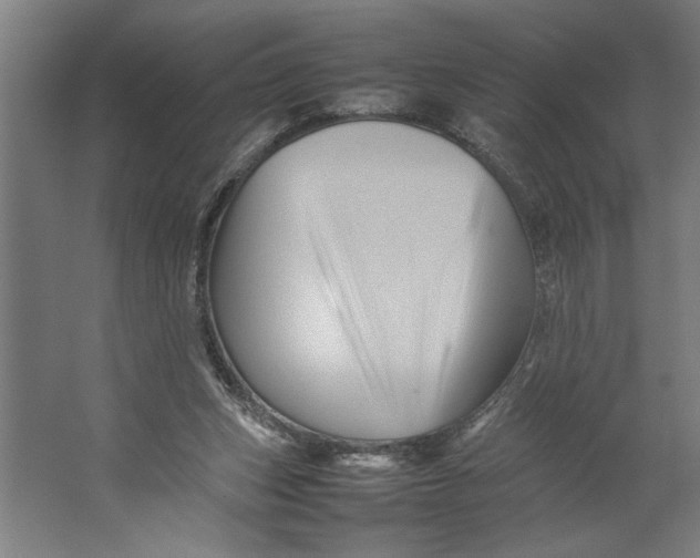 X0000062170159200512301654