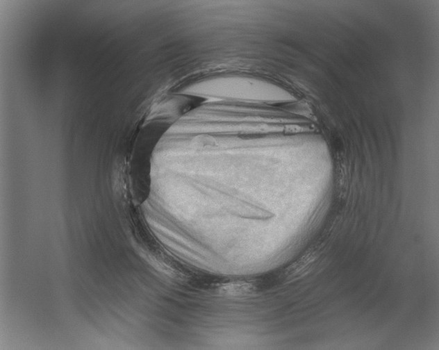 X0000062170168200512301654