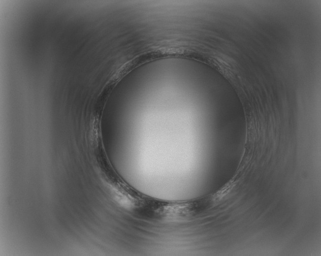 X0000062170172200512301654