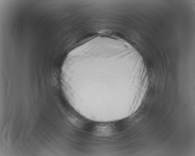 X0000062170175200512301654