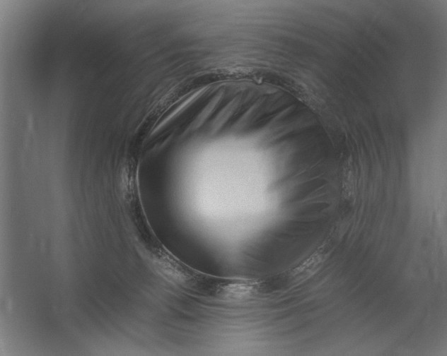 X0000062170176200512301654