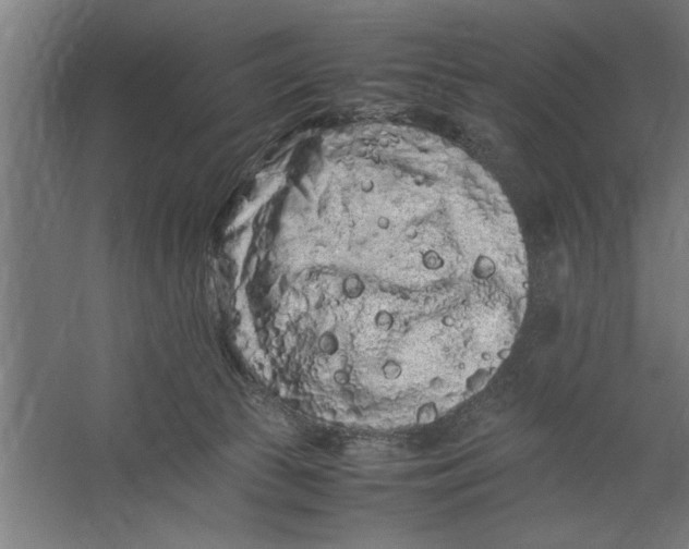X0000062170177200512301655