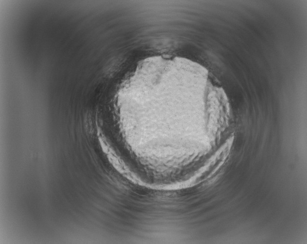 X0000062170182200512301655