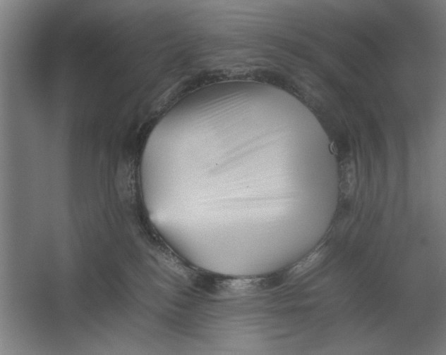 X0000062170184200512301655