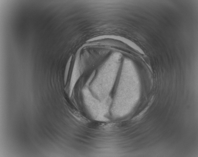 X0000062170186200512301655