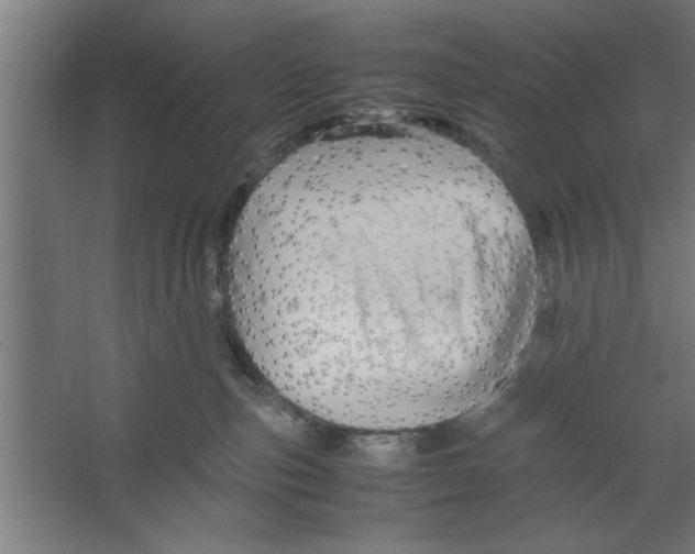 X0000062170187200512301655