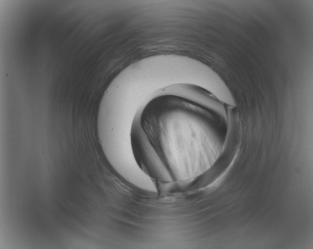 X0000062170190200512301655