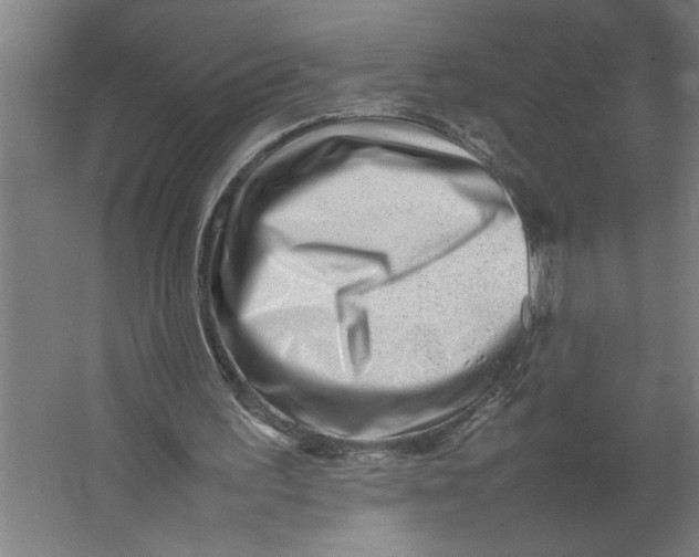 X0000062170195200512301654