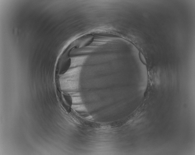 X0000062170196200512301654