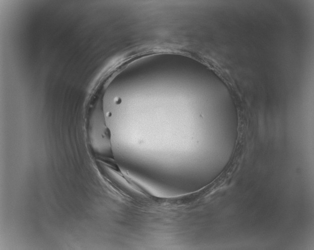 X0000062170197200512301654