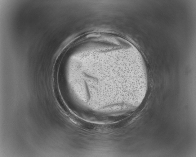 X0000062170199200512301654