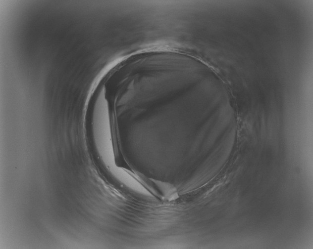 X0000062170200200512301654