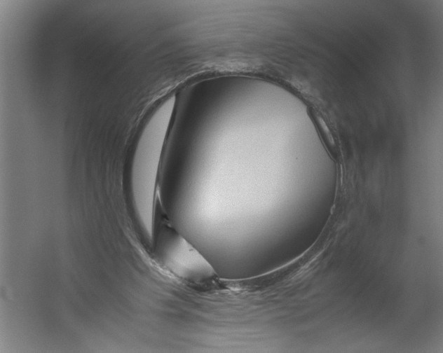 X0000062170201200512301654