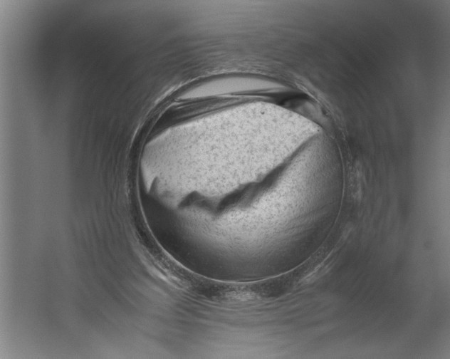 X0000062170203200512301654
