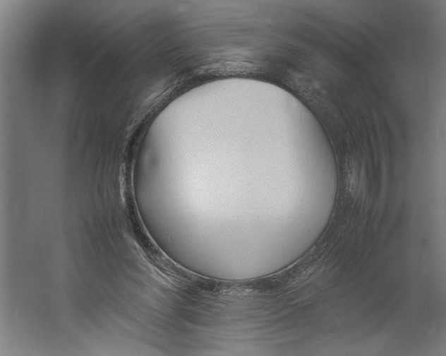 X0000062170206200512301654
