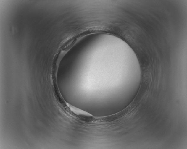 X0000062170207200512301654