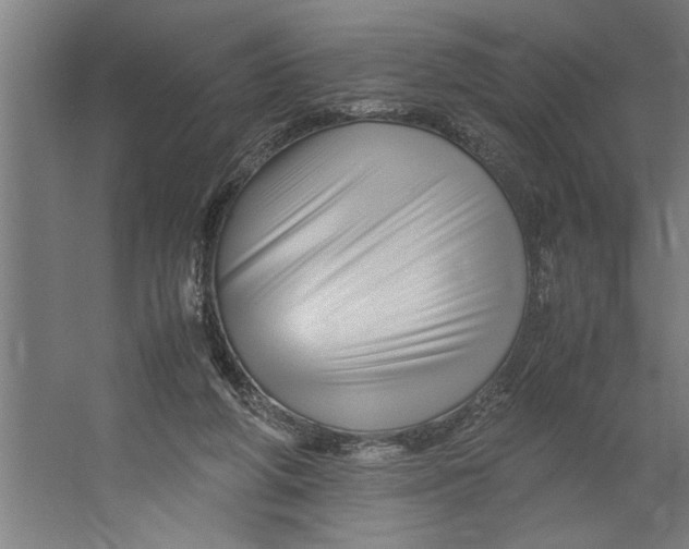 X0000062170210200512301654
