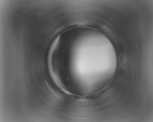 X0000062170212200512301654