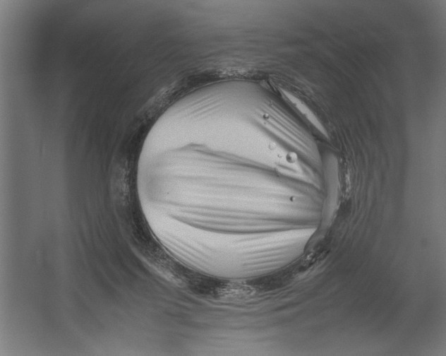 X0000062170215200512301654