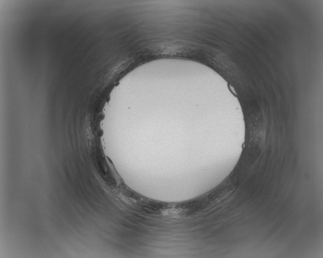 X0000062170216200512301654