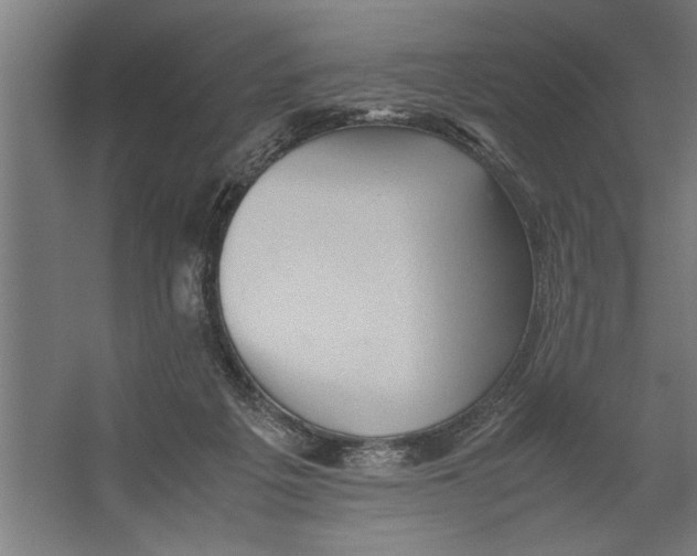 X0000062170217200512301654