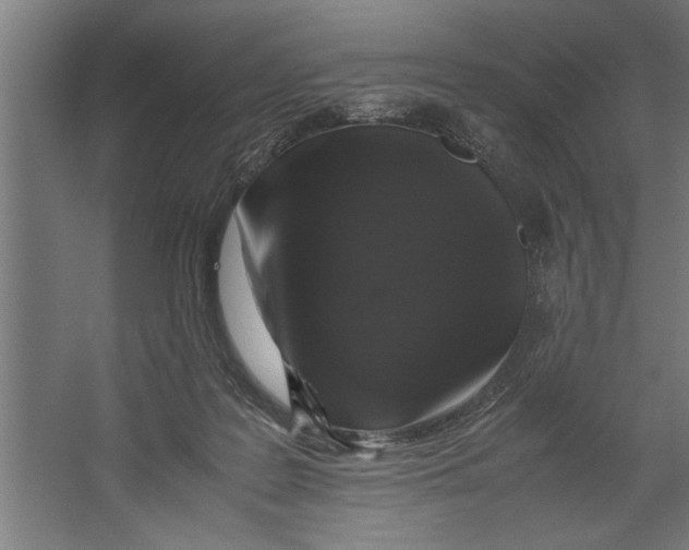X0000062170219200512301654