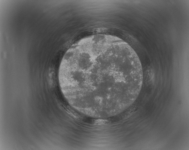 X0000062170222200512301653