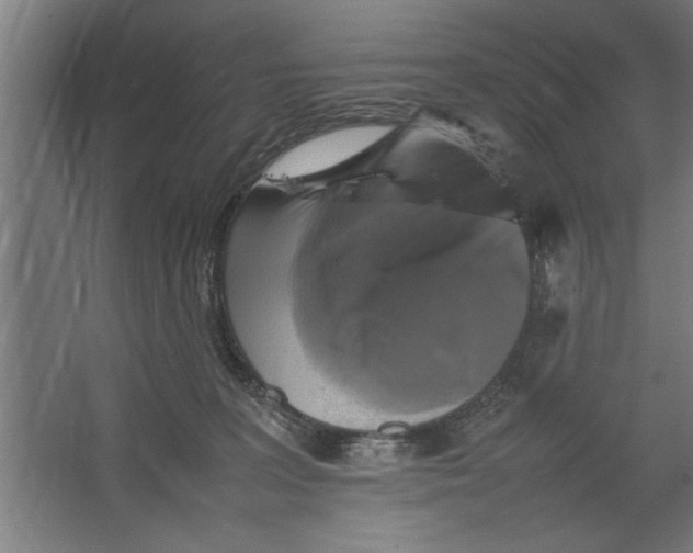 X0000062170227200512301653