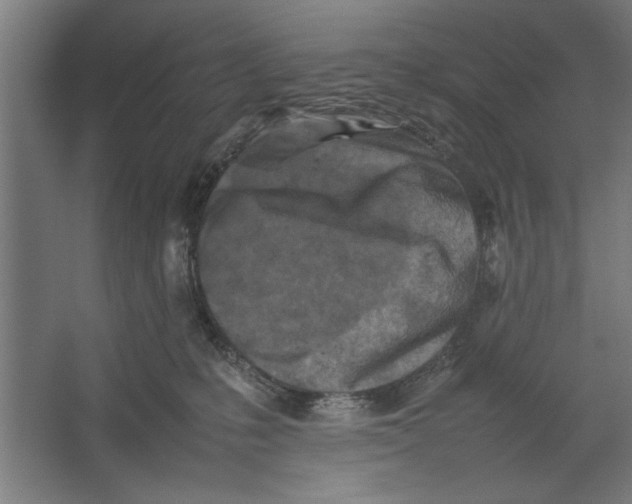 X0000062170231200512301653