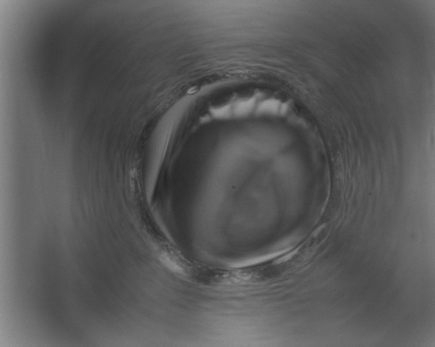 X0000062170235200512301653