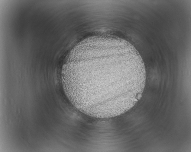 X0000062170236200512301653