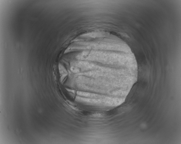 X0000062170237200512301653