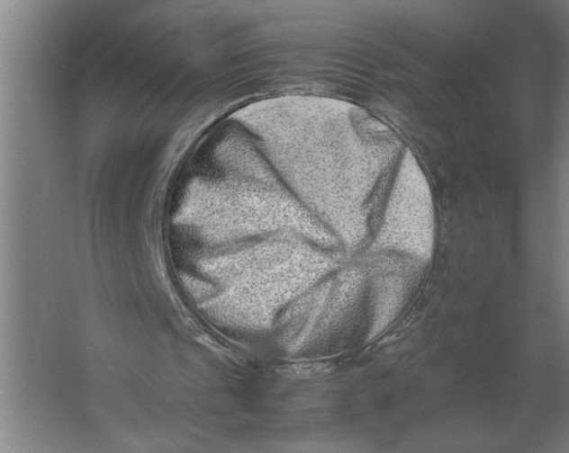 X0000062170241200512301652