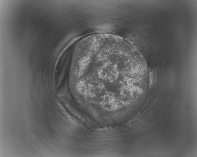 X0000062170243200512301652