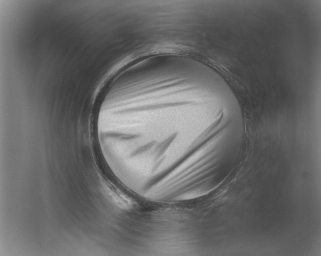 X0000062170244200512301652