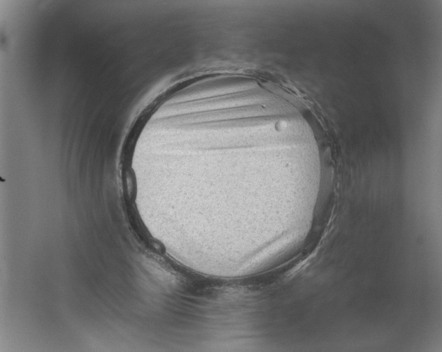 X0000062170246200512301652