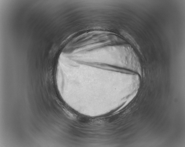 X0000062170249200512301652