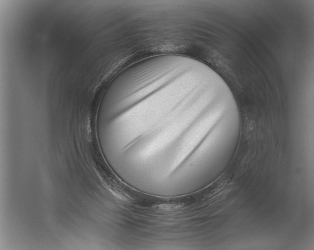 X0000062170251200512301653
