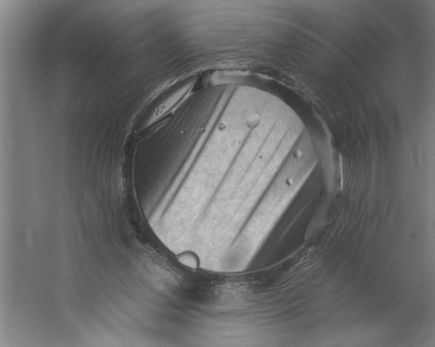 X0000062170252200512301653