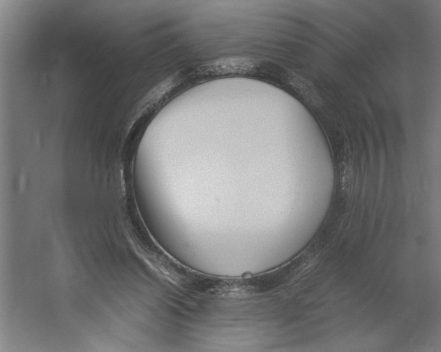 X0000062170254200512301653