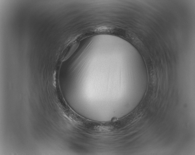 X0000062170255200512301653