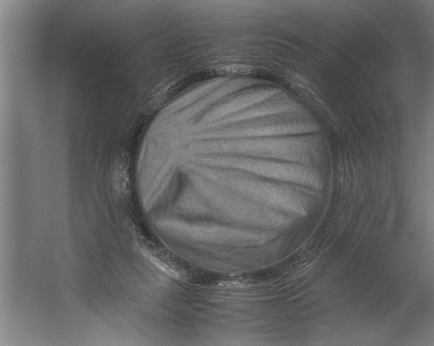 X0000062170259200512301653