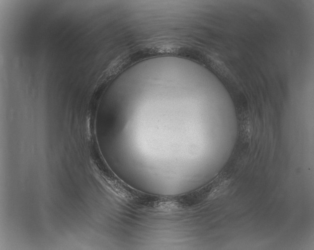X0000062170262200512301653