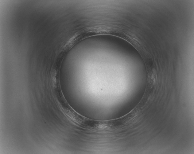 X0000062170264200512301653