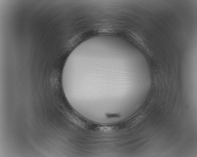 X0000062170265200512301653