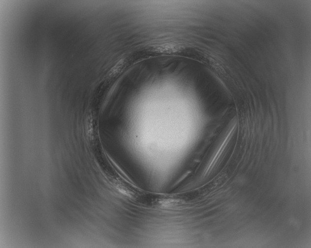 X0000062170268200512301653