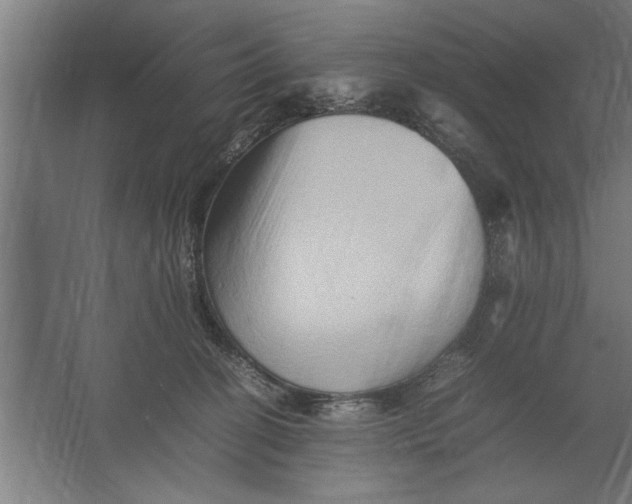 X0000062170274200512301653