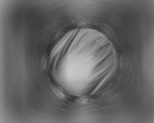 X0000062170276200512301653