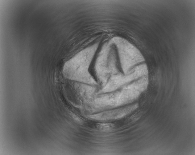 X0000062170277200512301653