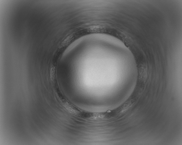 X0000062170278200512301653